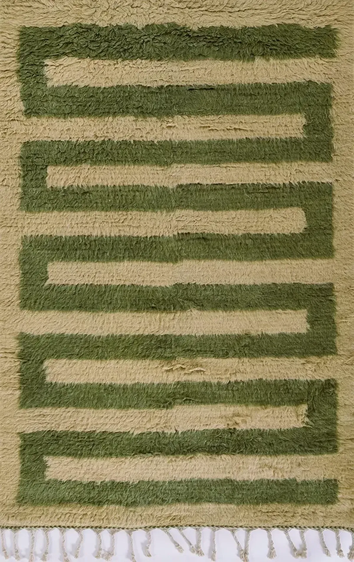 Neo 8 x 10 Moroccan Green Area Rug