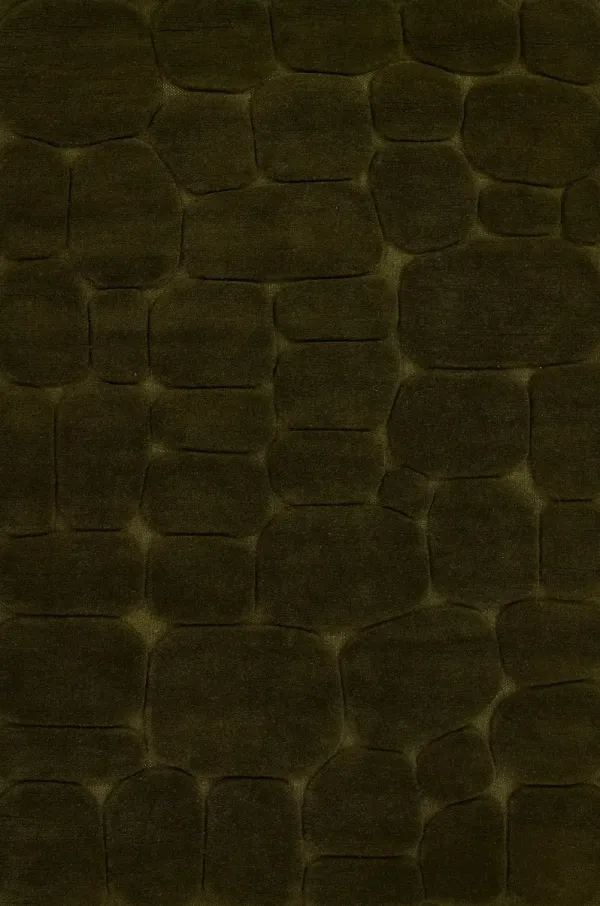 Canyon 5 x 8 Moss Green Area Rug