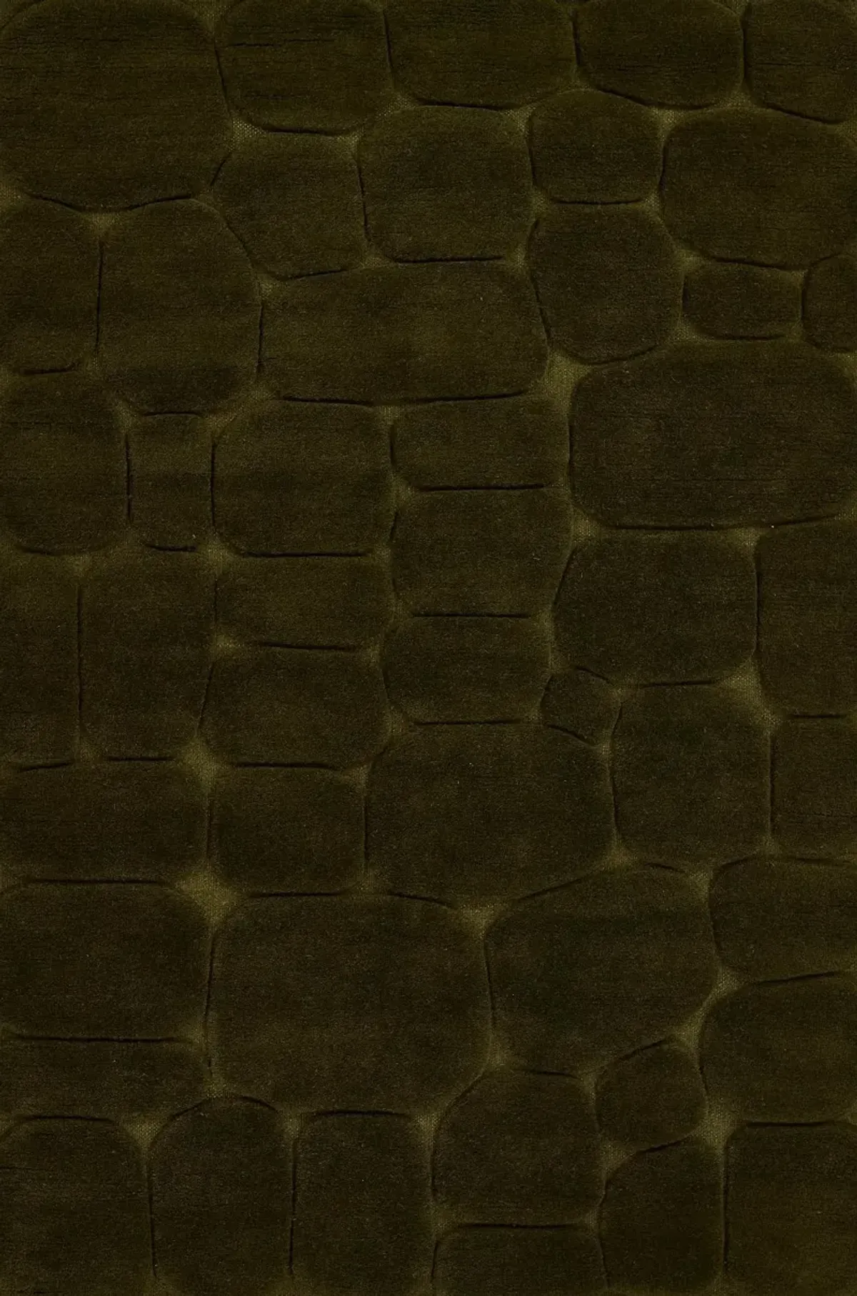 Canyon 8 x 10 Moss Green Area Rug