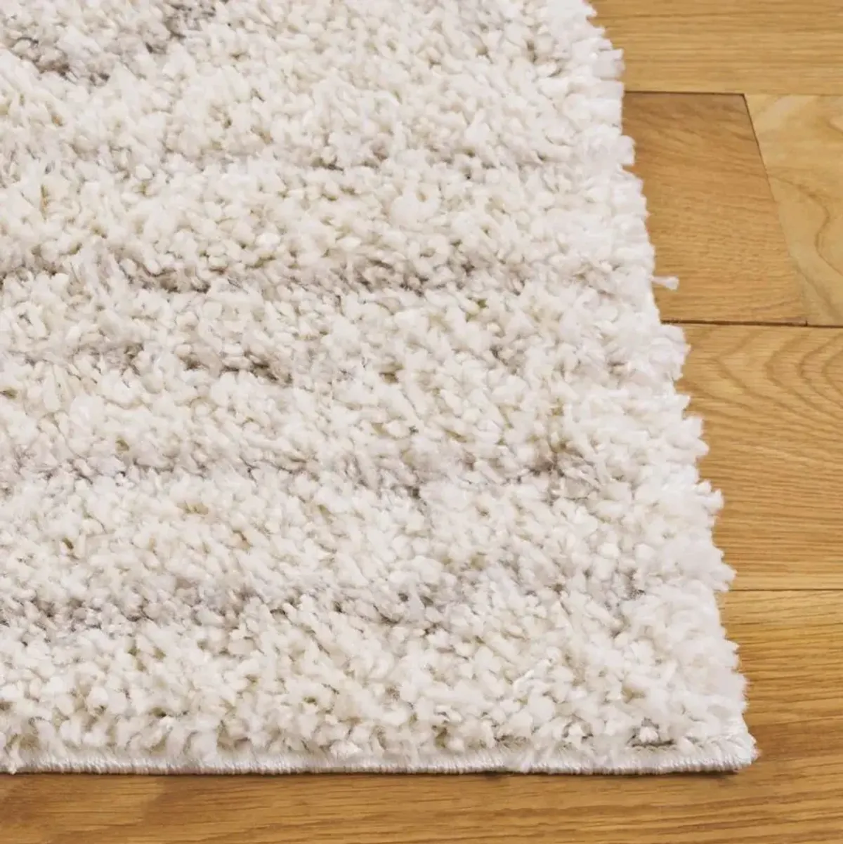 Arizona Shag Ivory and Beige Area Rug