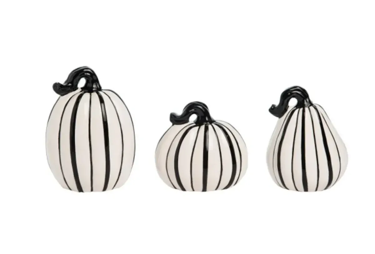 Small Black and White Pumpkin