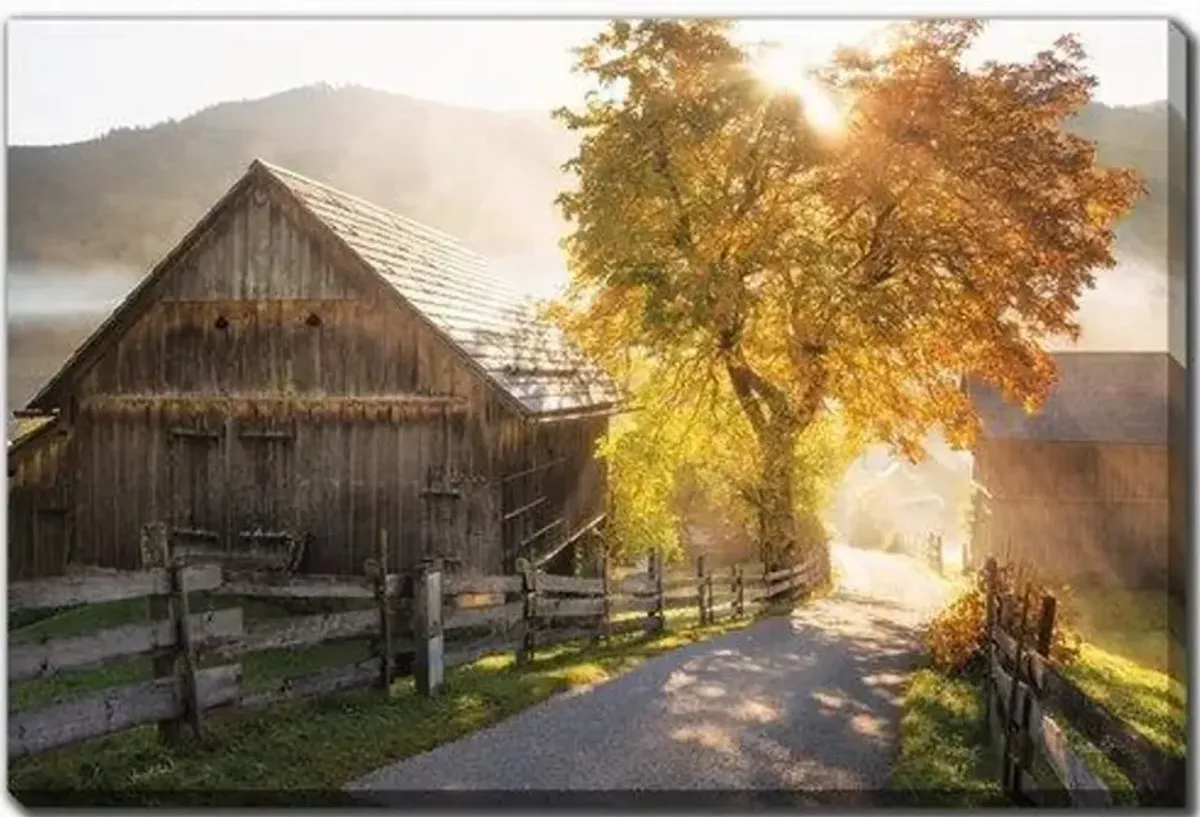 Autumn Road Wall Art