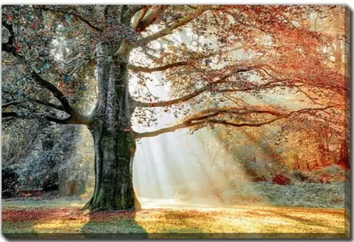 Basking In The Sun Wall Art