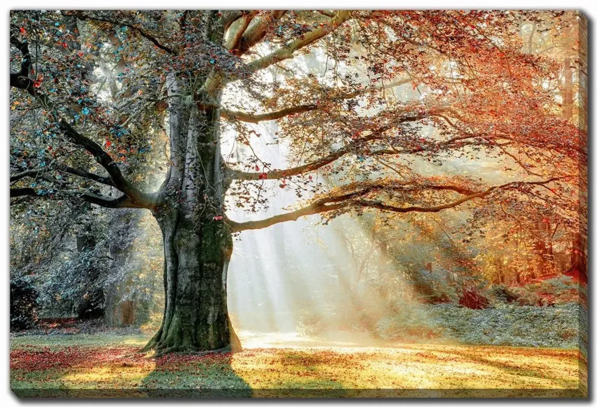 Basking In The Sun Wall Art