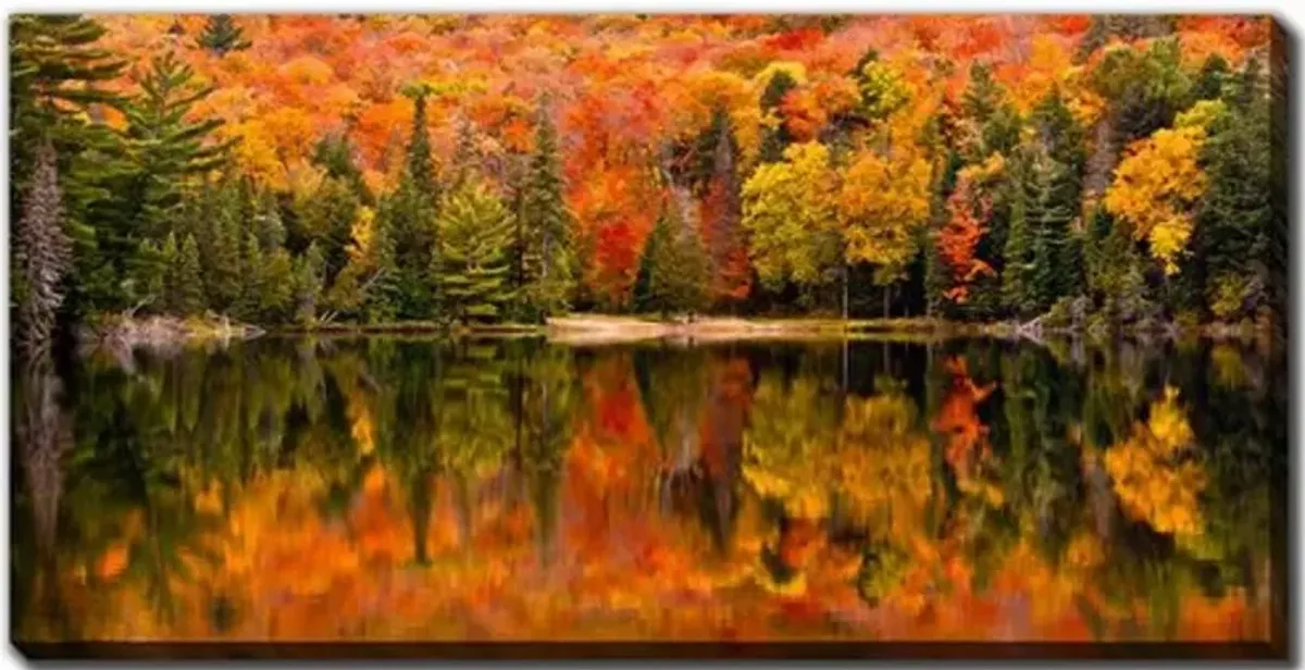 Canisbay Lake Wall Art