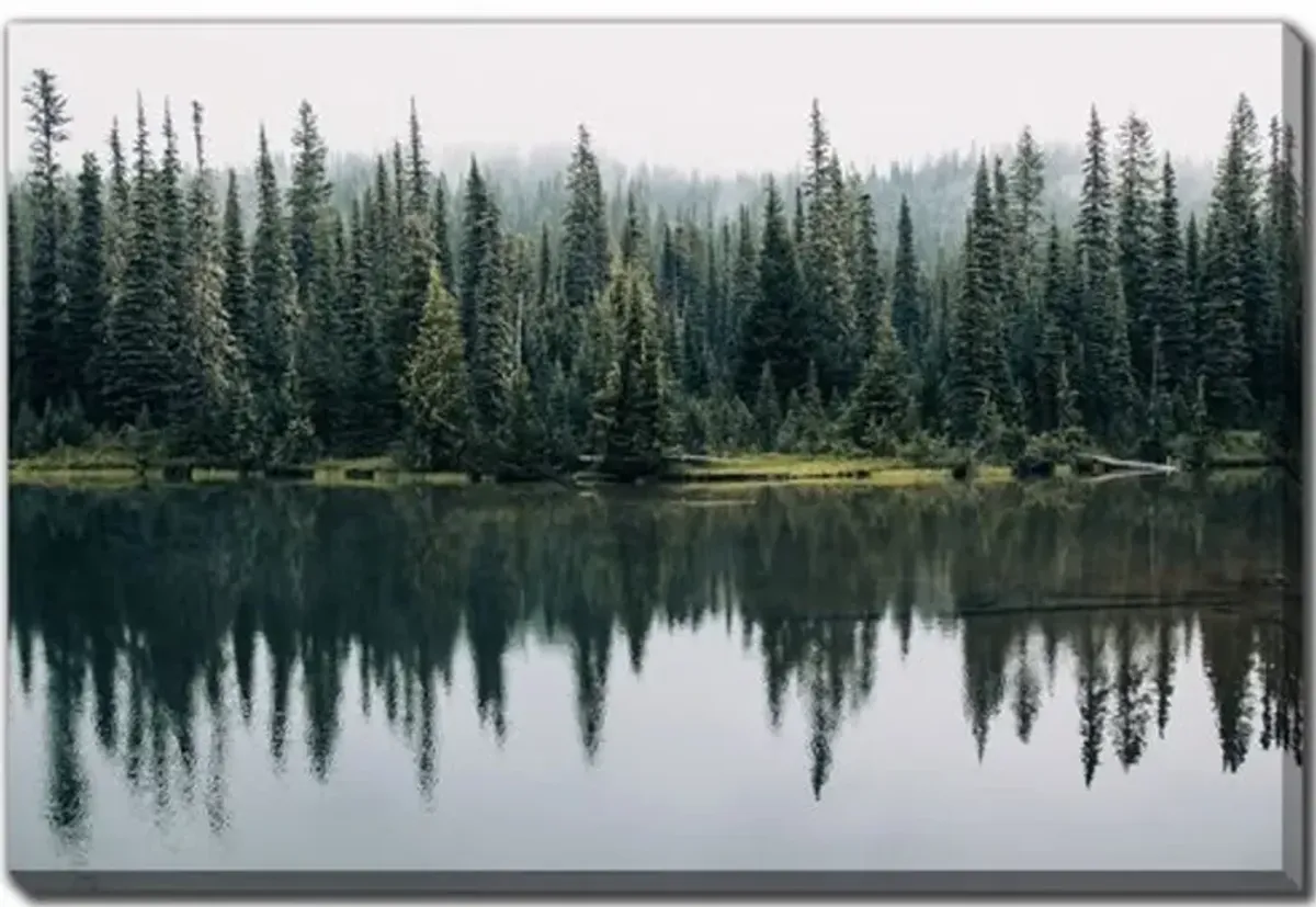 Pine Trees Reflected Wall Art