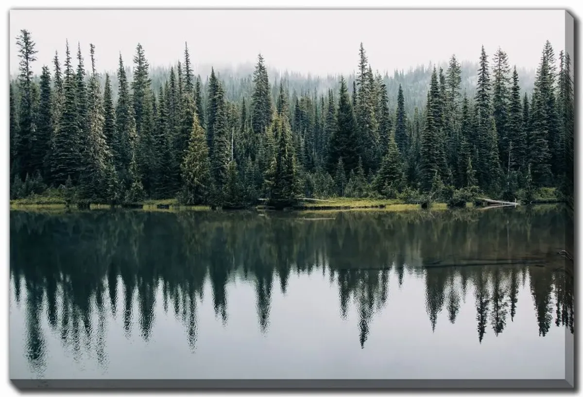 Pine Trees Reflected Wall Art