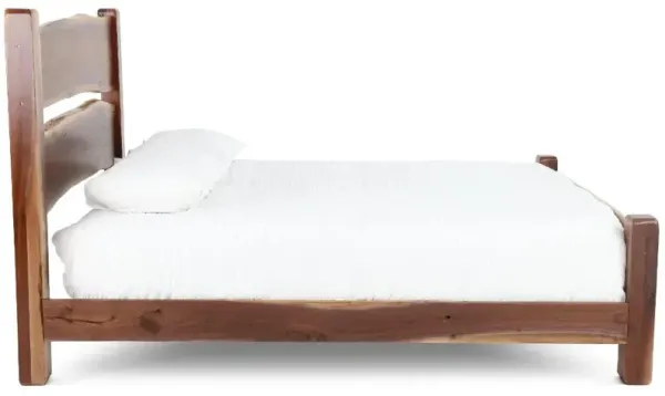 Live Edge Walnut Queen Bed