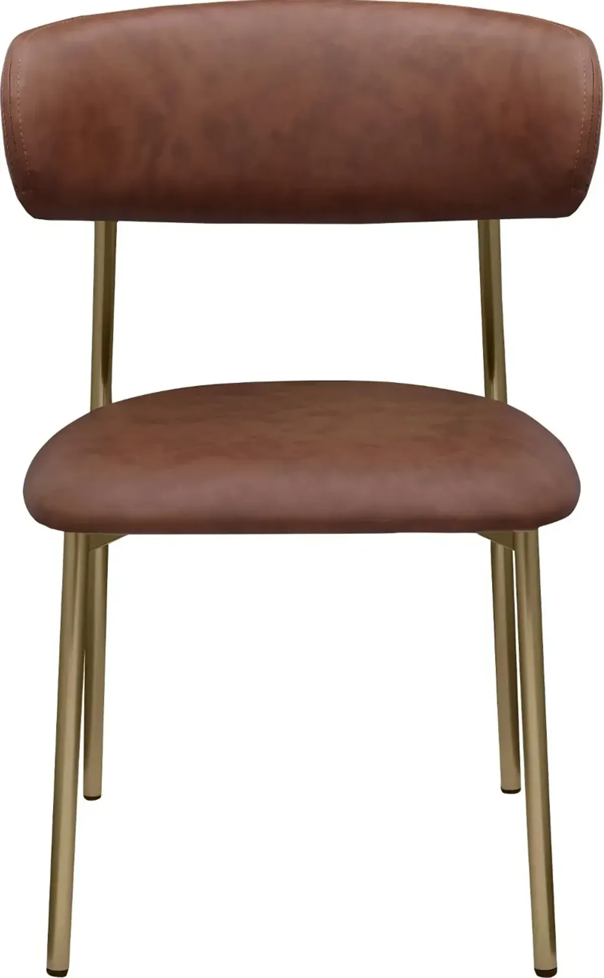 Lupita Brown and Gold Dining Chair, Set of 2