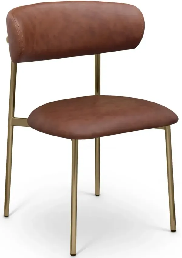 Lupita Brown and Gold Dining Chair, Set of 2