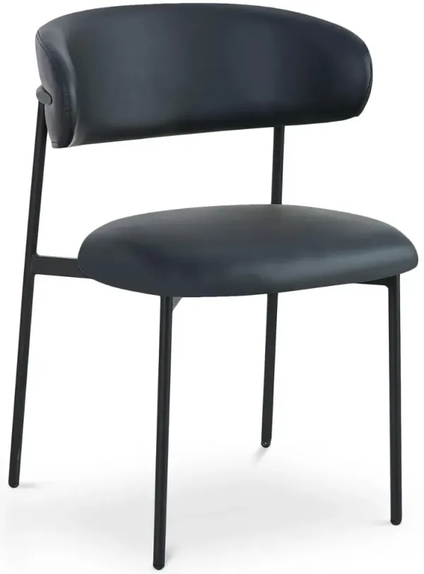 Lupita Black Dining Chair, Set of 2