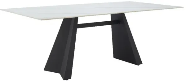 Inky White and Black Dining Table