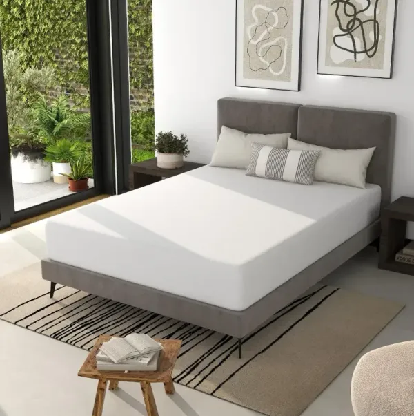 Zinnia 10-inch Hypoallergenic Gel Memory Foam Queen Mattress