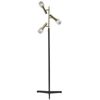 Melvin LED Floor Lamp in Black by Adesso Inc