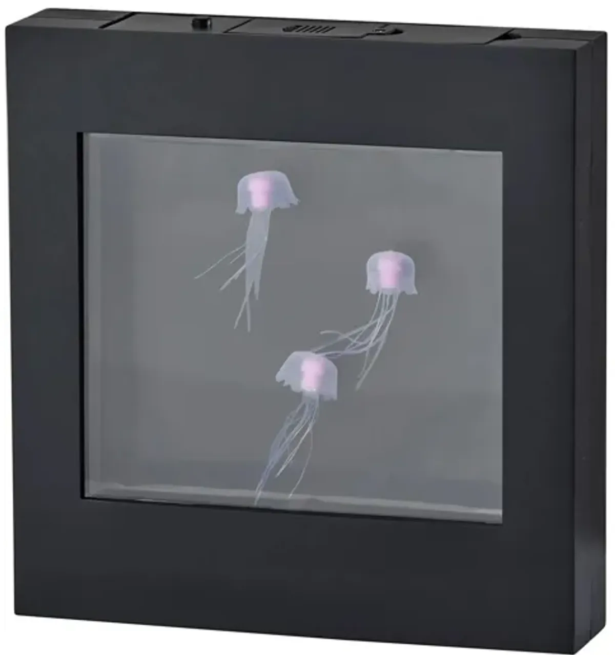 Light Box Jellyfish Lamp in Black by Adesso Inc