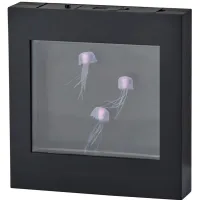 Light Box Jellyfish Lamp in Black by Adesso Inc