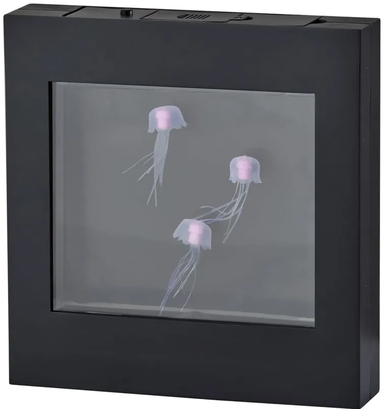 Light Box Jellyfish Lamp in Black by Adesso Inc