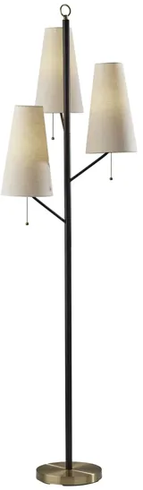 Daniel Floor Lamp in Black by Adesso Inc