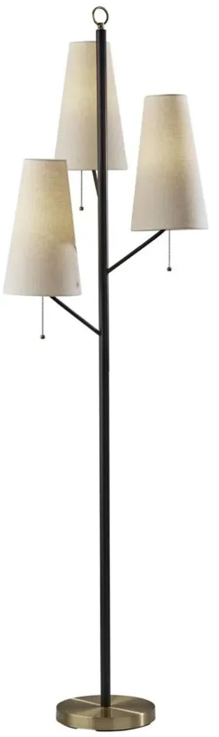 Daniel Floor Lamp in Black by Adesso Inc