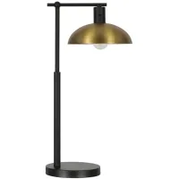 Conan Table Lamp in Blackened Bronze/Antique Brass by Hudson & Canal