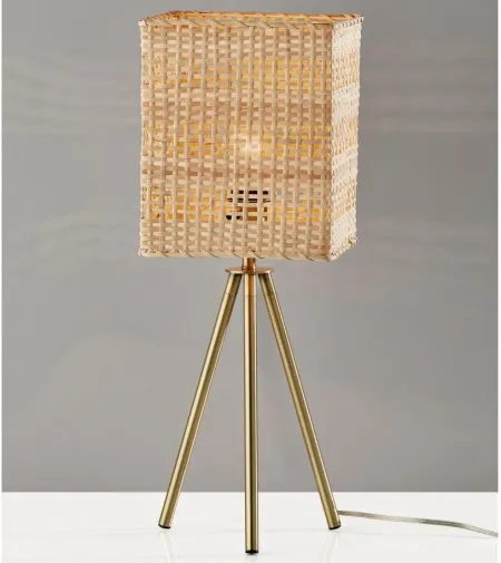 Pesina Table Lamp in Antique Brass by Adesso Inc