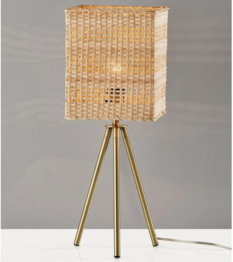 Pesina Table Lamp in Antique Brass by Adesso Inc