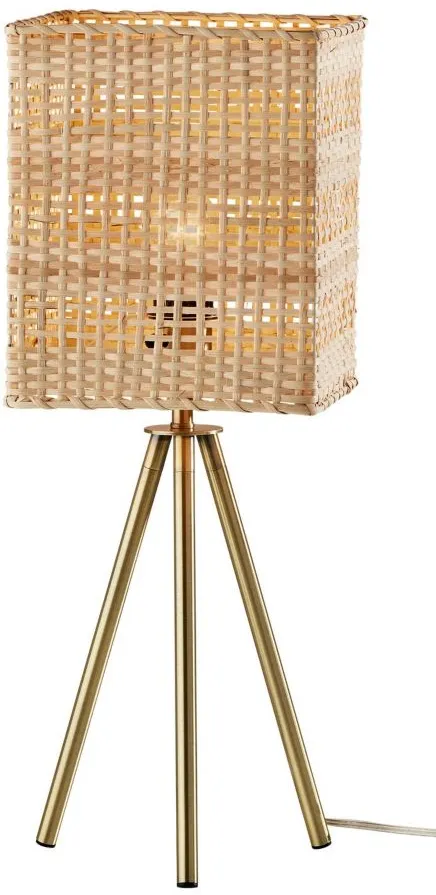 Pesina Table Lamp in Antique Brass by Adesso Inc