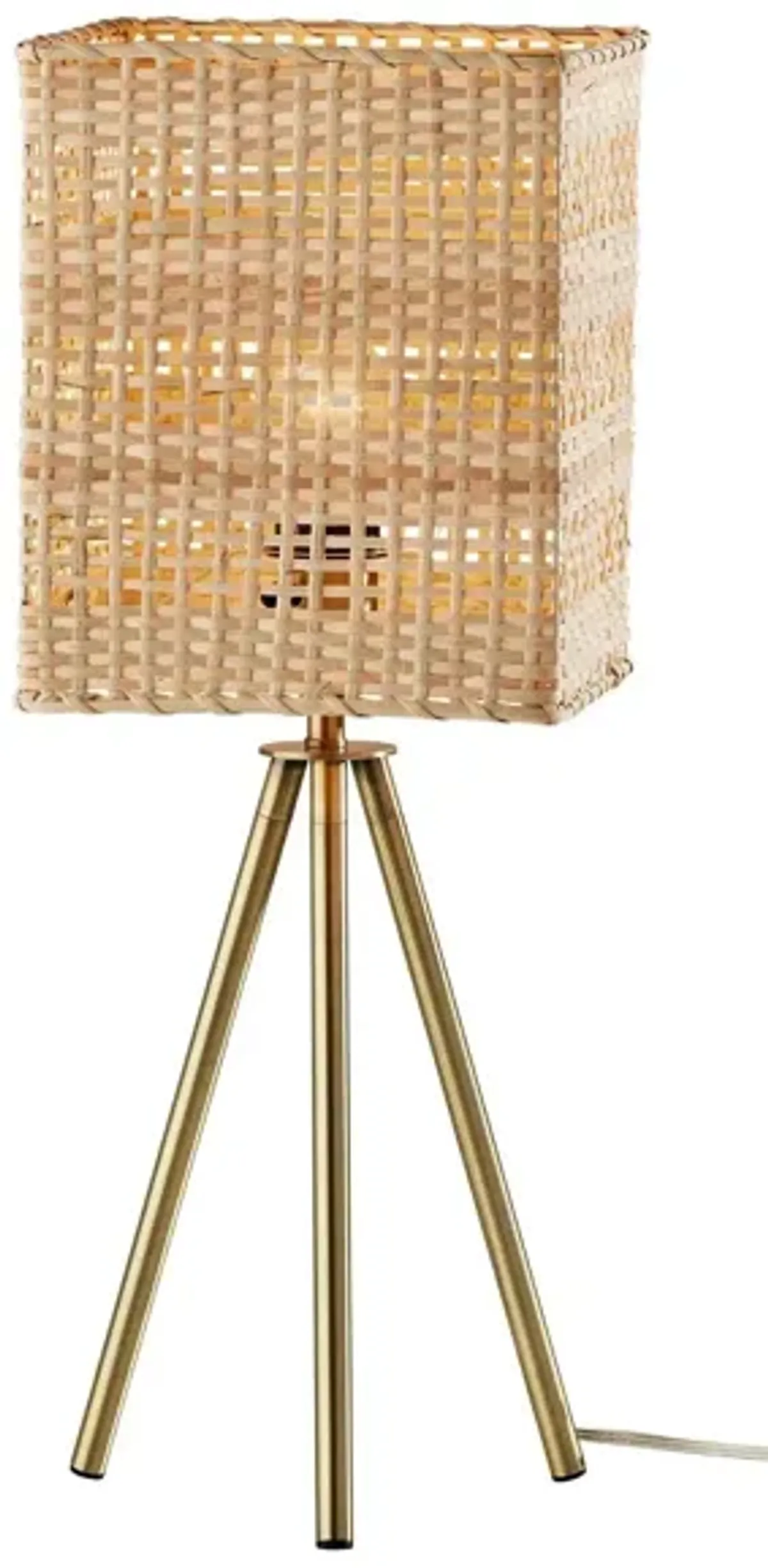 Pesina Table Lamp in Antique Brass by Adesso Inc