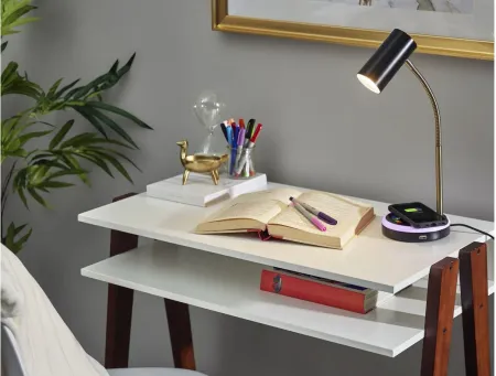 Shayne Wireless Charging Desk Lamp in Black w. Antique Brass by Adesso Inc
