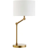 Quin Adjustable Table Lamp in Brushed Brass by Hudson & Canal