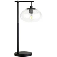 Blume Table Lamp in Blackened Bronze by Hudson & Canal