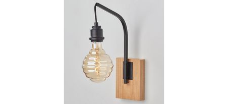Wren Wall Lamp in Black by Adesso Inc