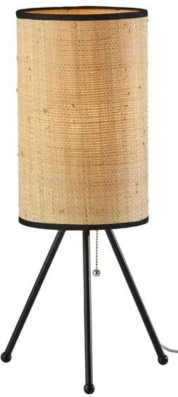 Huey Table Lamp in Black by Adesso Inc