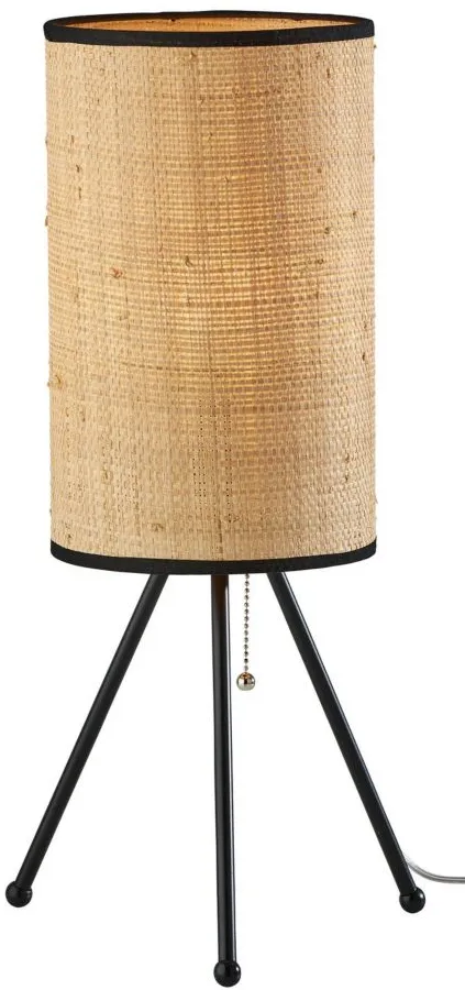 Huey Table Lamp in Black by Adesso Inc