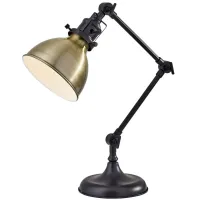 Alden Desk Lamp in Antique Bronze by Adesso Inc