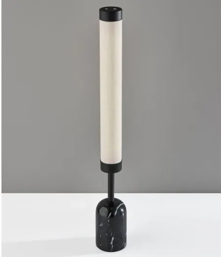 Dorsey Table Lamp in Black by Adesso Inc