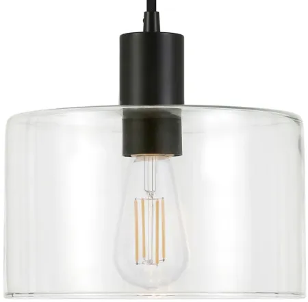 Embla Clear Glass Pendant in Blackened Bronze by Hudson & Canal