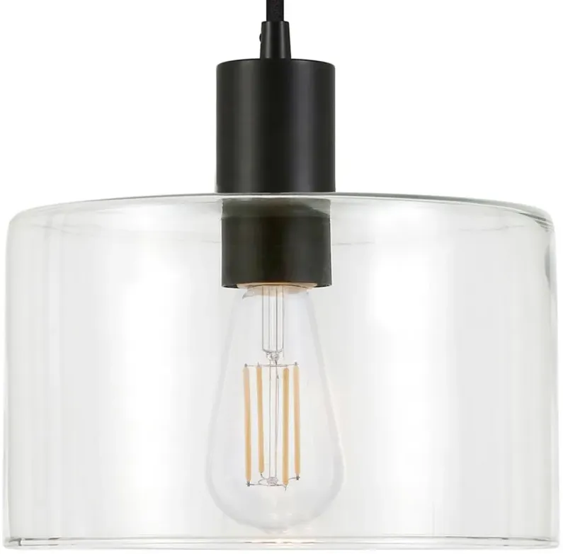 Embla Clear Glass Pendant in Blackened Bronze by Hudson & Canal