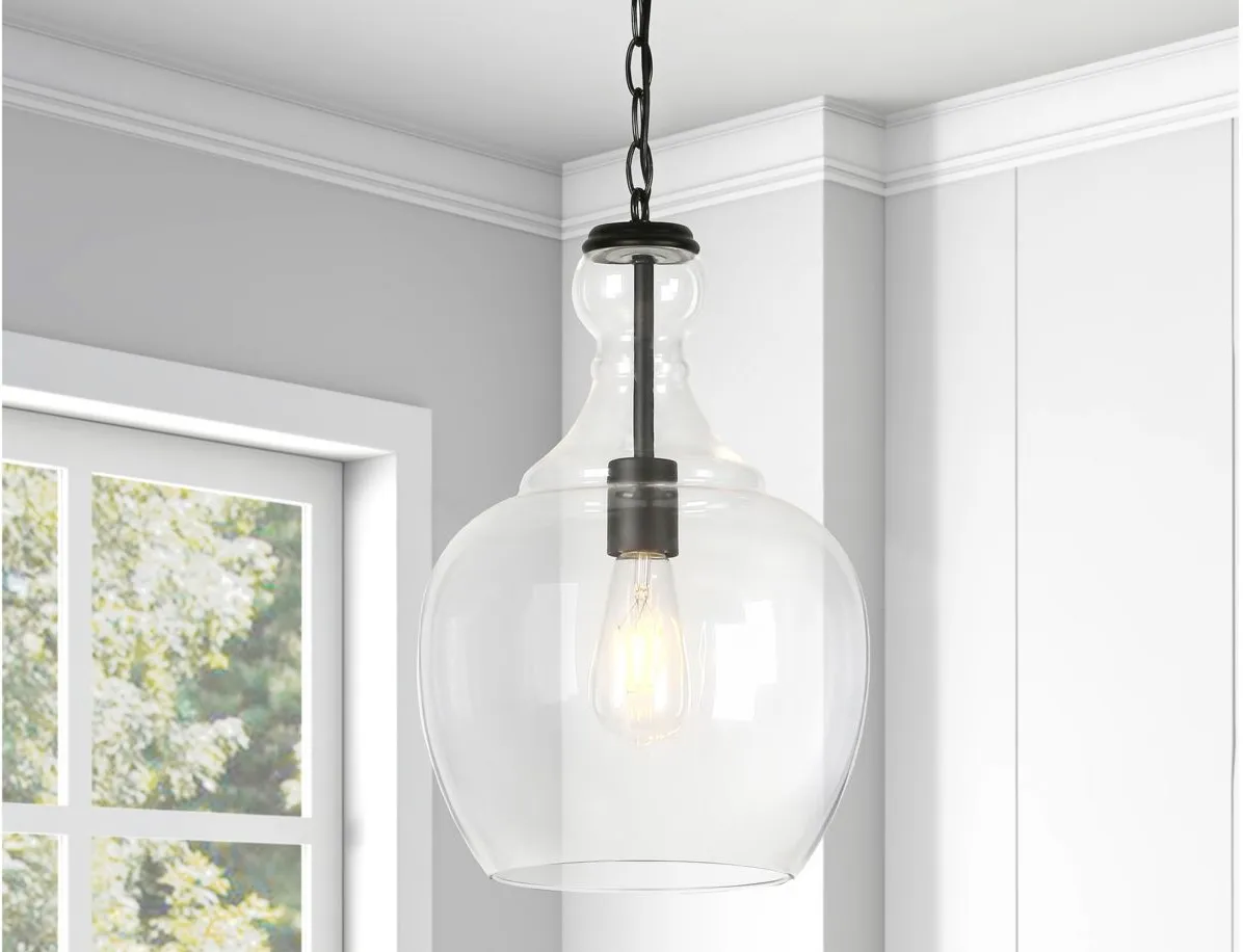 Santos Clear Glass Pendant in Blackened Bronze by Hudson & Canal