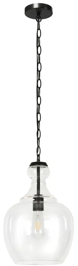 Santos Clear Glass Pendant in Blackened Bronze by Hudson & Canal