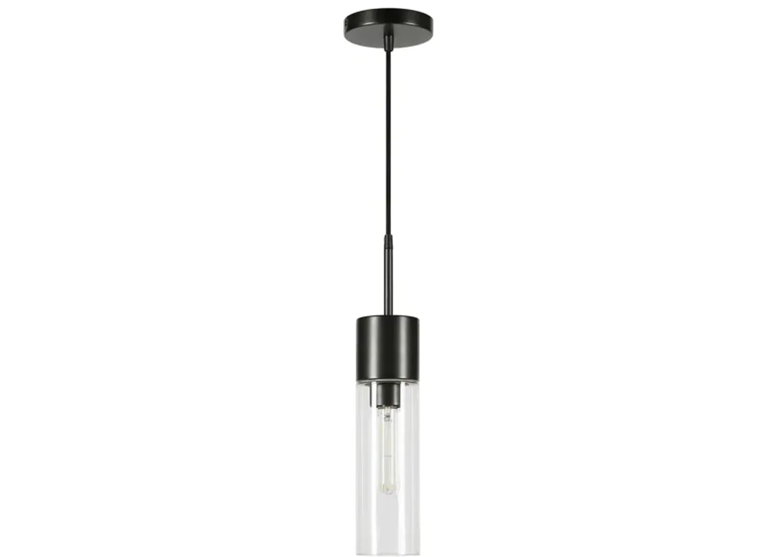 Richards Clear Glass Pendant in Blackened Bronze by Hudson & Canal