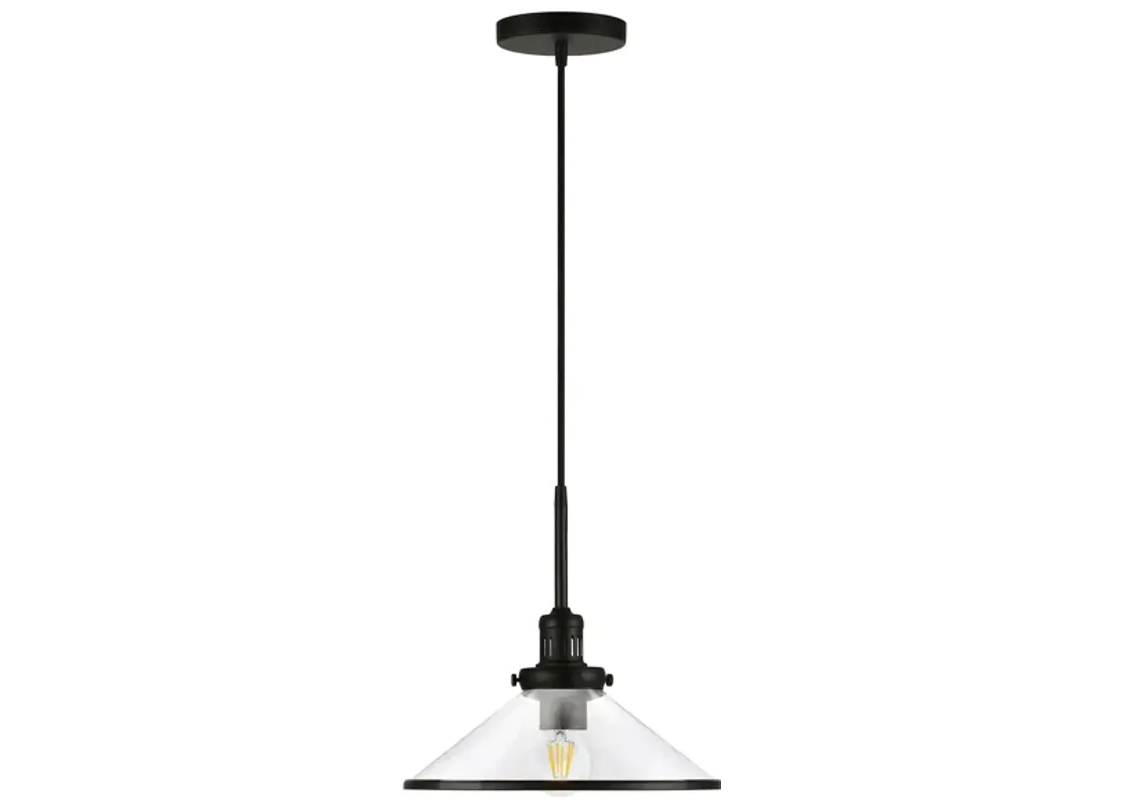 Renzo Clear Glass Pendant in Blackened Bronze by Hudson & Canal