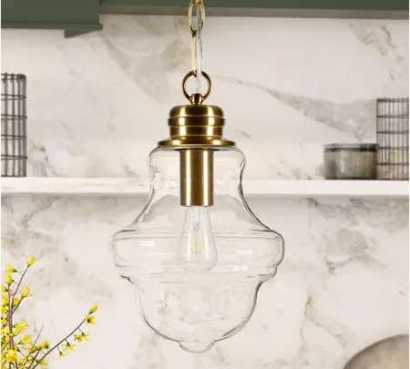 Isidora Clear Glass Pendant in Brass by Hudson & Canal