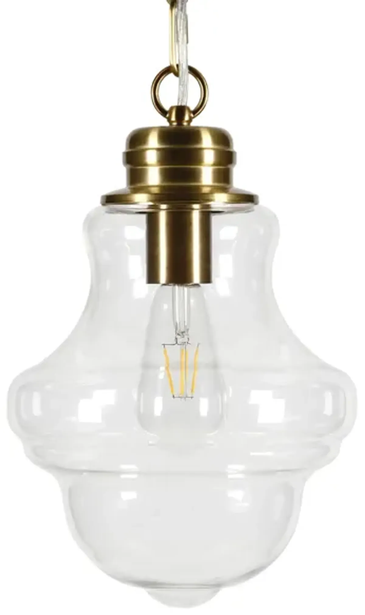 Isidora Clear Glass Pendant in Brass by Hudson & Canal