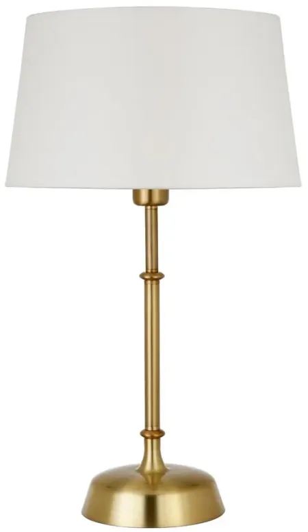 Spyro Table Lamp in Brass by Hudson & Canal