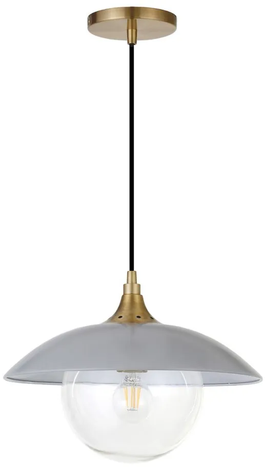 Lyuba Clear Glass Pendant in Cool Gray/Brass by Hudson & Canal