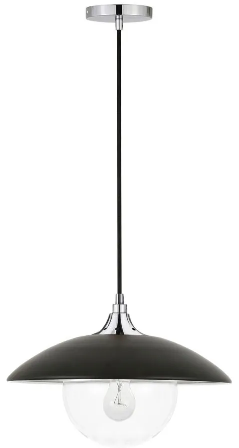 Lyuba Clear Glass Pendant in Matte Black/Polished Nickel by Hudson & Canal