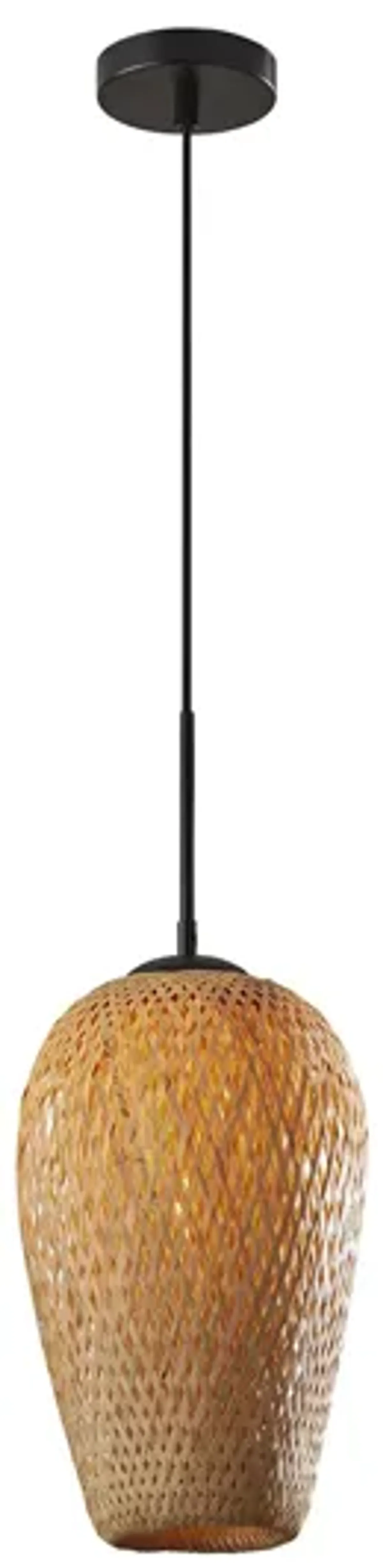 Hugo Pendant in Black by Adesso Inc