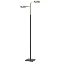 Rowan LED Floor Lamp with Smart Switch in Black & Antique Brass by Adesso Inc