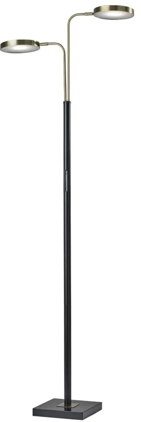 Rowan LED Floor Lamp with Smart Switch in Black & Antique Brass by Adesso Inc